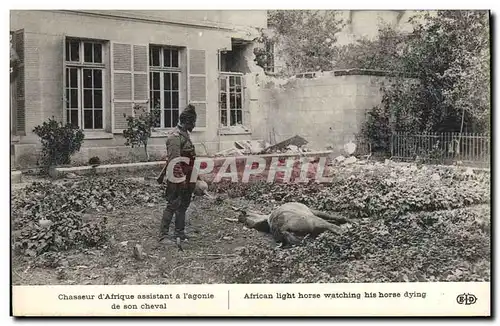 Cartes postales Militaria Chasseur d&#39Afrique assistant a l&#39agonie de son cheval