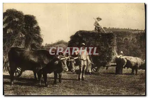 Ansichtskarte AK Folklore Auvergne La fenaison Cheval