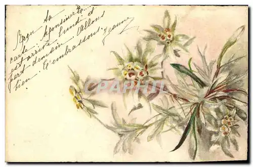 Cartes postales Fantaisie Illustrateur (dessin a la main) Fleurs