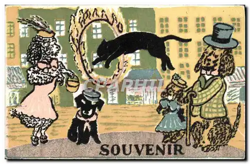 Cartes postales Chat Chats Chaton La Strada (La Rue) Serriere et ses animaux savants