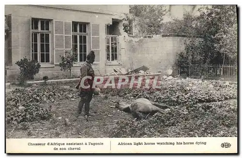 Cartes postales Militaria Chasseur d&#39Afrique assistant a l&#39agonie de son cheval