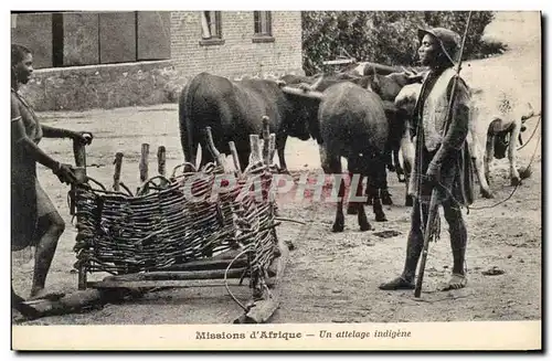 Ansichtskarte AK Homme Noir negre Missions d&#39Afrique Un attelage indigene