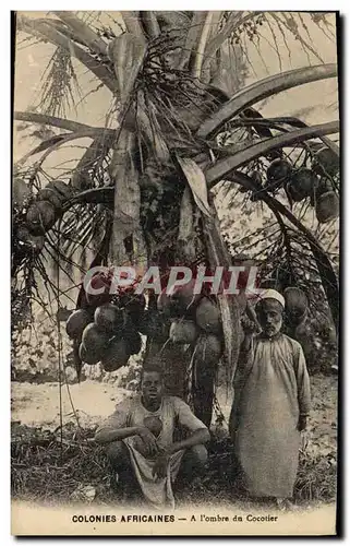 Cartes postales Homme Noir negre Colonies africaines A l&#39ombre du cocotier