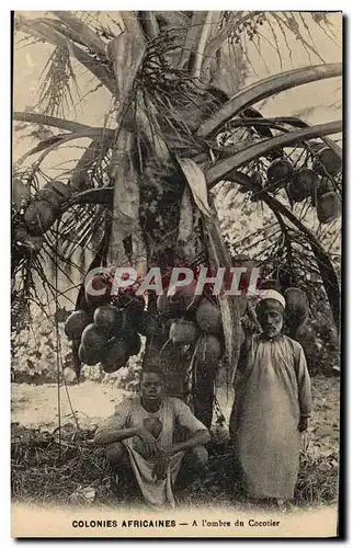 Ansichtskarte AK Homme Noir negre Colonies africaines A l&#39ombre d&#39un cocotier