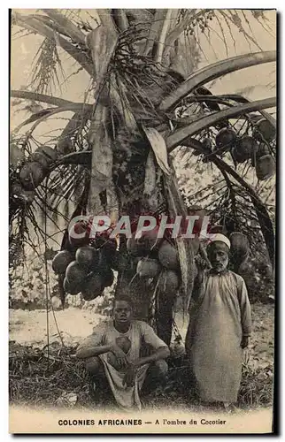 Cartes postales Homme Noir negre Colonies africaines A l&#39ombre d&#39un cocotier