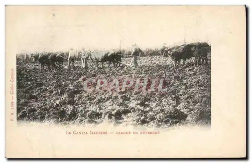 Ansichtskarte AK Folklore Cantal Labour en Auvergne