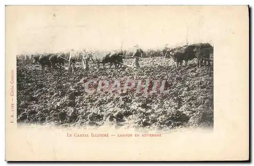 Cartes postales Folklore Cantal Labour en Auvergne