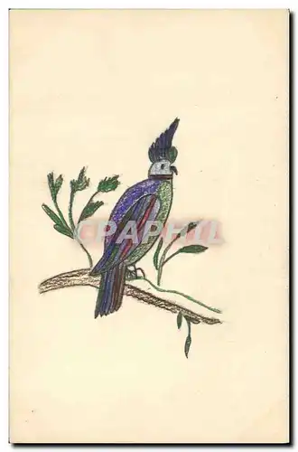 Cartes postales Dessin a la main Oiseau