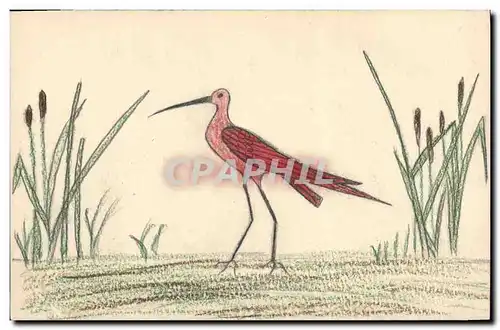 Cartes postales Dessin a la main Oiseau