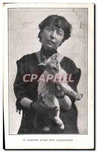 Cartes postales Chat chats Chaton Femme Le martyre d&#39une bete abandonnee