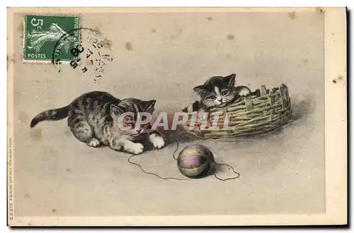 Cartes postales Chat chats Chaton