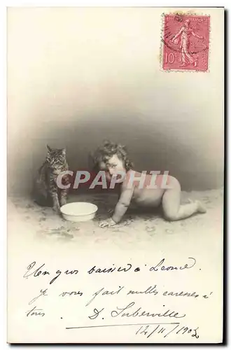 Cartes postales Chat chats Chaton Enfant