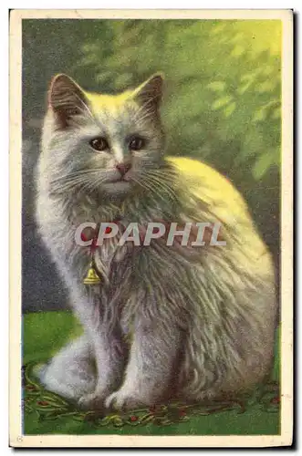 Cartes postales Chat chats Chaton