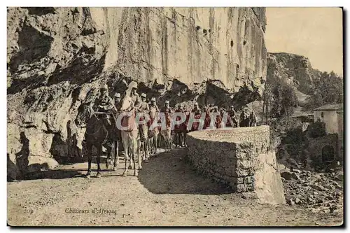 Cartes postales Militaria Chasseurs d&#39Afrique