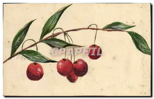 Cartes postales Dessin a la main Cerises