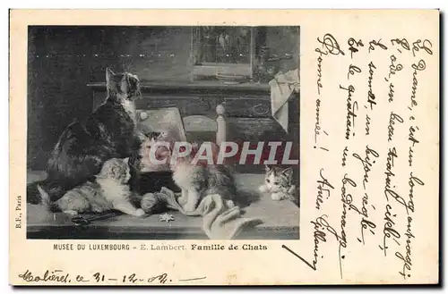 Cartes postales Chat chats Chaton Musee du Luxembourg Lambert Famille de chats