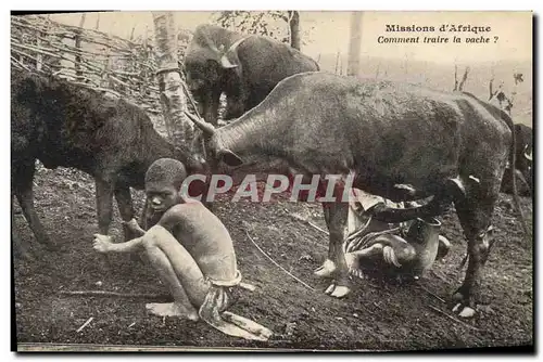 Cartes postales Negre Enfant Noir Missions d&#39Afrique Comment traire la vache