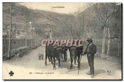Cartes postales Folklore Auvergne Attelage Auvergnat