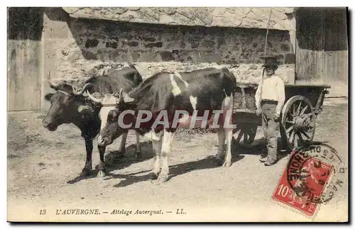 Cartes postales Folklore Auvergne Attelage Auvergnat Enfant