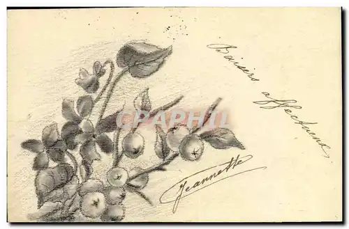 Cartes postales Dessin a la main Fleurs