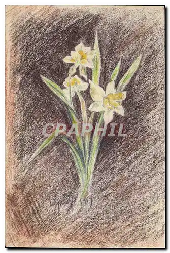 Cartes postales Dessin a la main Fleurs