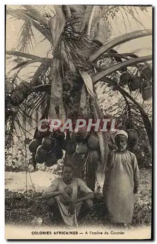 Ansichtskarte AK Negre Homme Noir Colonies Africaines A l&#39ombre du cocotier