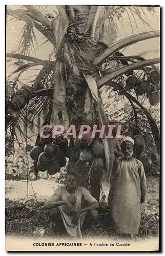 Cartes postales Negre Homme Noir Colonies Africaines A l&#39ombre du cocotier