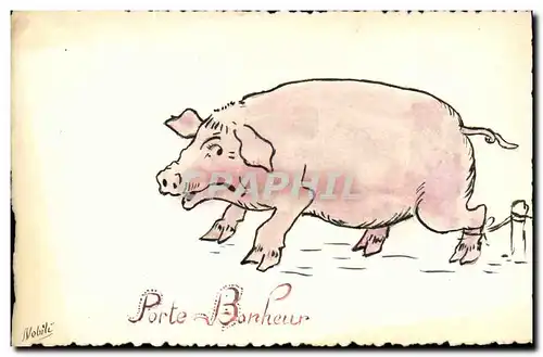 Cartes postales (dessin a la main) Cochon Porc