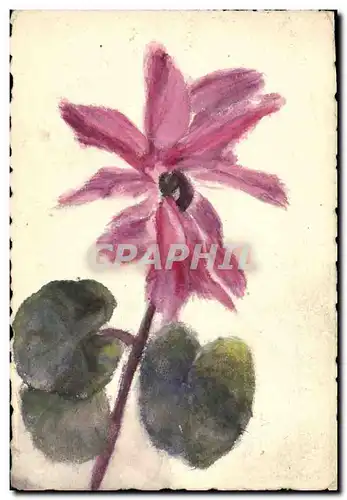 Cartes postales (dessin a la main) Fleurs