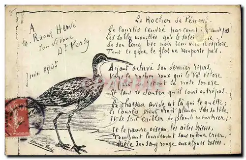 Cartes postales Oiseau