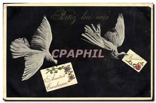 Cartes postales Colombe Colombophilie