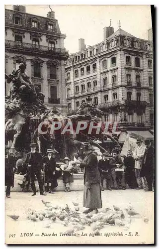 Ansichtskarte AK Colombe Colombophilie Lyon Place des Terreaux Les pigeons apprivoises