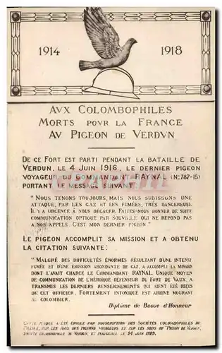 Ansichtskarte AK Colombe Colombophilie aux colombophiles morts pour la France Verdun