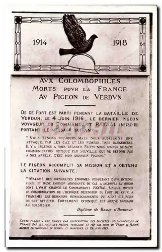 Ansichtskarte AK Colombe Colombophilie aux colombophiles morts pour la France Verdun