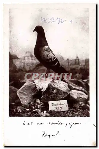 Cartes postales Colombe Colombophilie Colombogramme du commandant Raynal Militaria