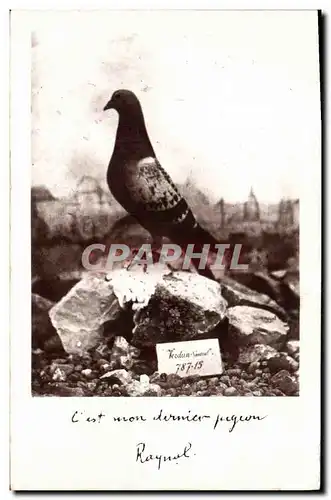 Cartes postales Colombe Colombophilie Colombogramme du commandant Raynal Militaria