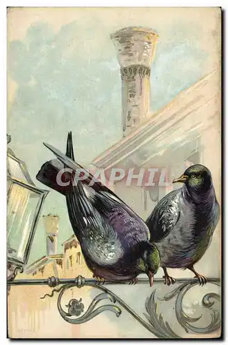Cartes postales Colombe Colombophilie Pigeons