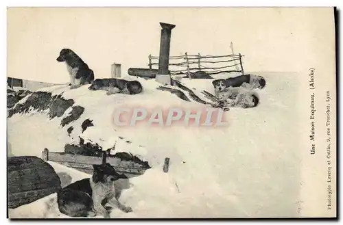 Cartes postales Une maison Esquimau Alaska Chiens Polaire