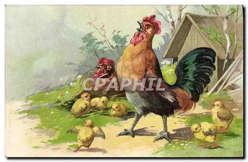 Cartes postales Coq Poule Poussins