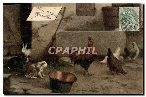 Cartes postales Coq Poules Lapin