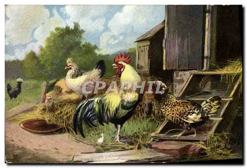 Cartes postales Coq Poules