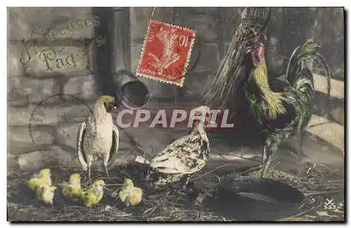 Cartes postales Coq Poule Paques