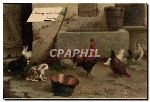 Cartes postales Coq Poule