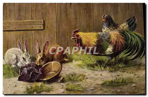 Cartes postales Coq Poule Lapins