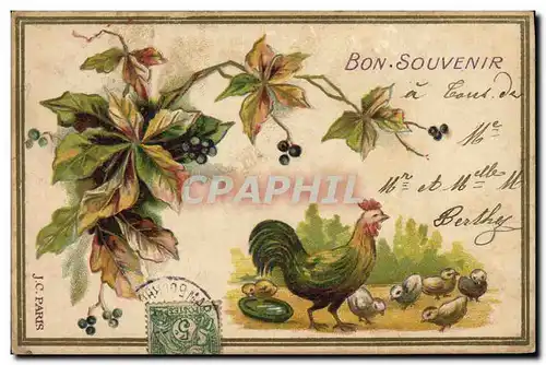 Cartes postales Coq Poussins