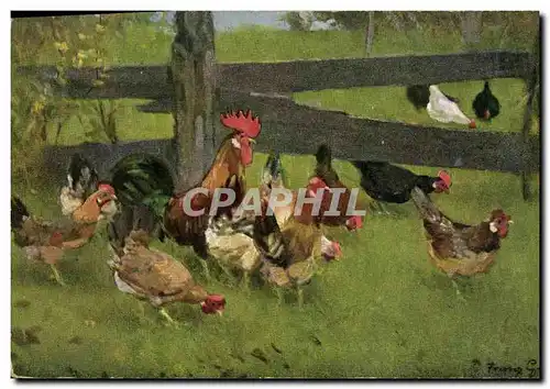 Cartes postales Coq Poule Poussins