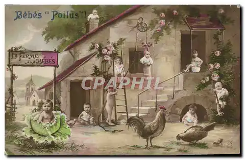 Cartes postales Coq Enfants Bebes poilus