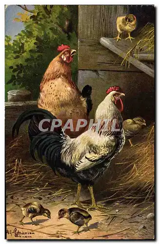 Ansichtskarte AK Coq Poule Poussins