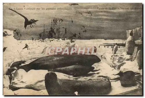 Ansichtskarte AK Polaire Amerique du Nord Le Gauss entoure par les animaux antarctiques Palais de la mer Section