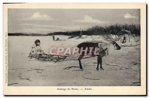 Ansichtskarte AK Polaire Amerique du Nord Attelage de Renne Alaska